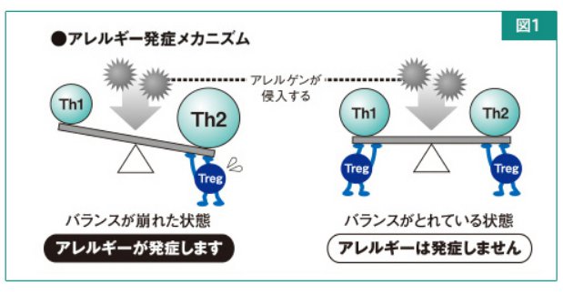 乳酸菌が体内に吸収 は無いけど 本当に花粉症に効果はあるのか 院長ブログ 五本木クリニック