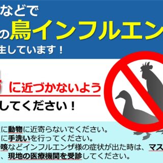 鳥インフルエンザ対策するにはまず知ることが大切