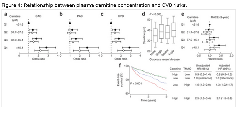 L-カルニチンと心筋梗塞や脳卒中の関連性