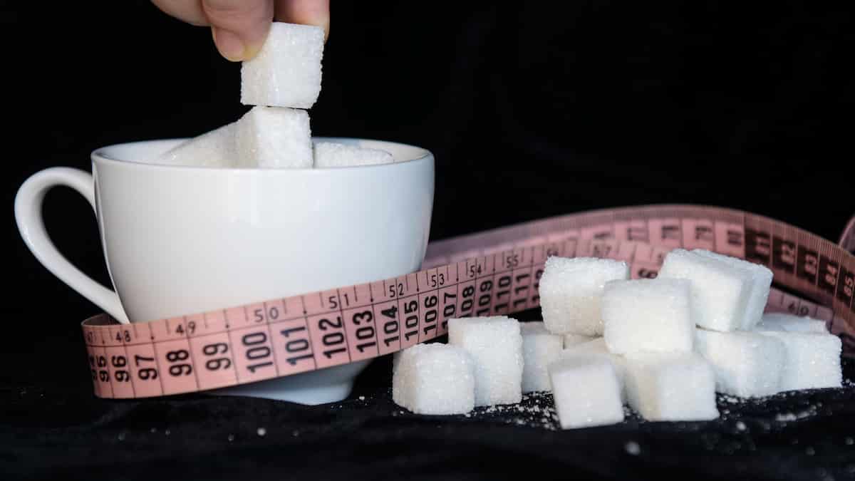 【結論】糖質制限ダイエットは死亡リスクが高まります