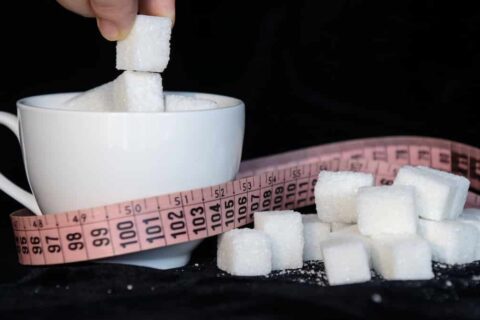 【結論】糖質制限ダイエットは死亡リスクが高まります