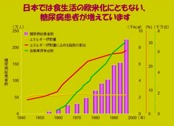 日本では食生活が欧米化したことによって糖尿病が増えています