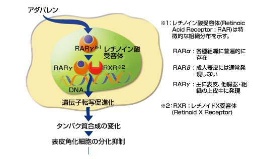 adapalene_1