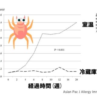 粉物の中で繁殖するダニ