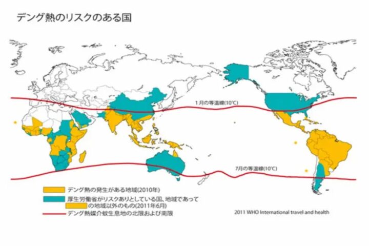 デング熱って知っていますか、日本で６０年ぶりに発生⁉