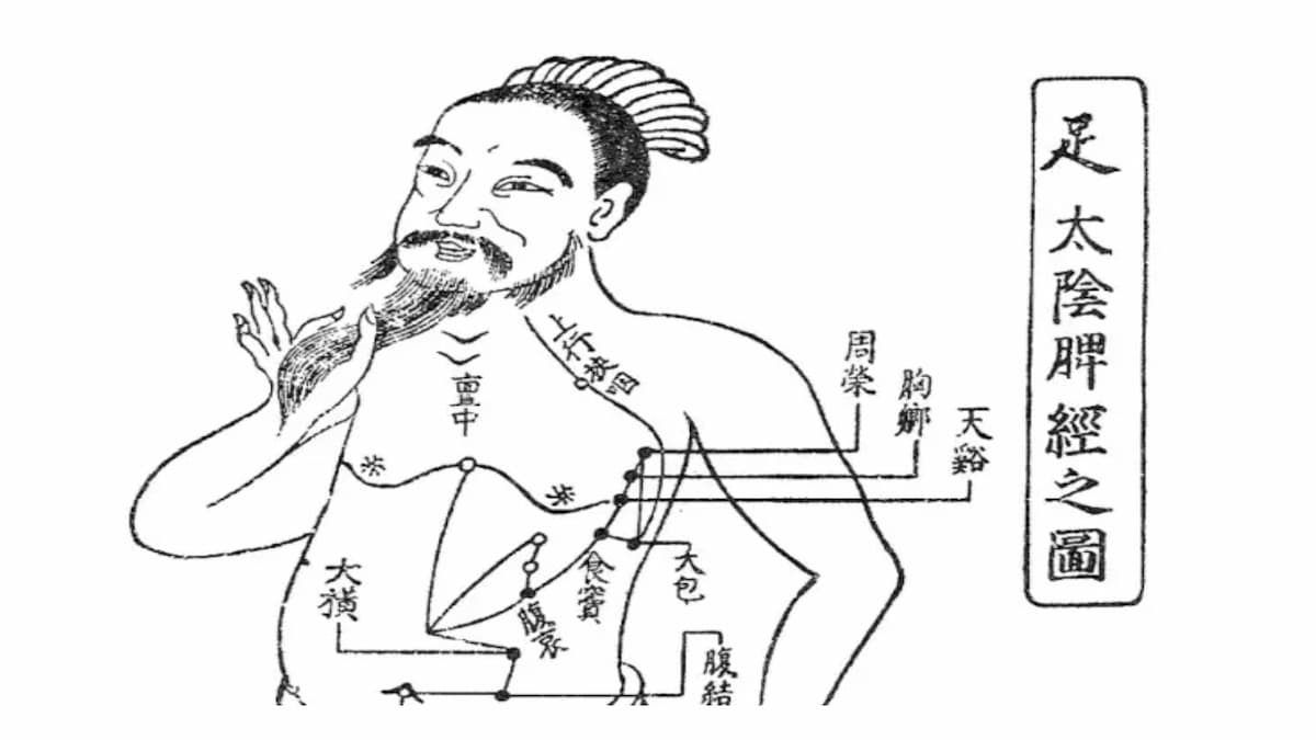 リンパ 経絡 合わせて 経絡リンパマッサージ とはダイエット効果があるの 院長ブログ 五本木クリニック