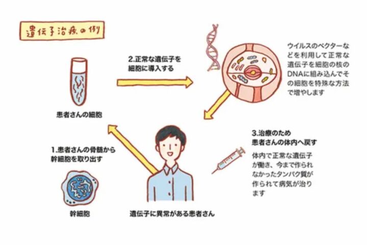 パートナーの浮気に悩んでいる方は遺伝子治療をご検討ください