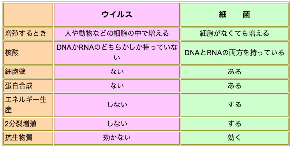 ウイルス感染と細菌感染の違い