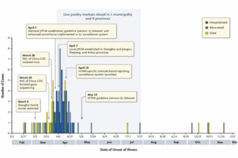 だいぶヤバそうな中国の新型鳥インフルエンザH7N9型、人から人に感染⁉