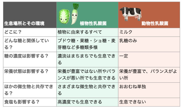 植物性乳酸菌と動物性乳酸菌の違い