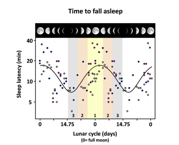 満月と睡眠時間