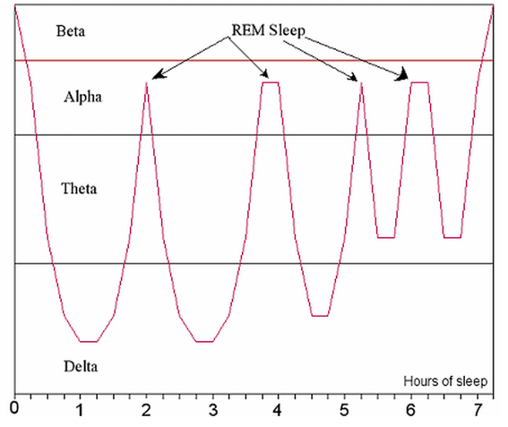 rem-sleep_gif__450×373_