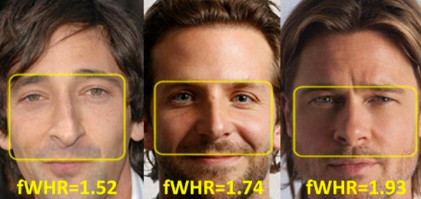 FWHR-ratio-face_jpg__560×304_