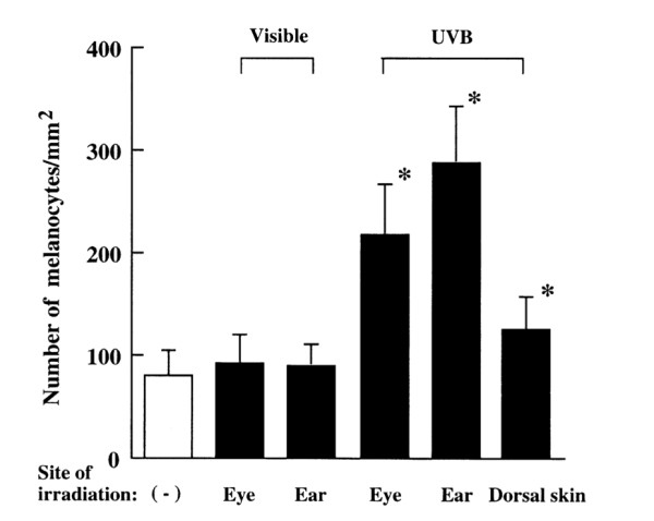 Ultraviolet_B_irradiation_of_the_eye_activates_a_nitric_oxide-dependent_hyp_othalamopituitary_proopiomelanocortin_pathway_and_modulates_functions_of_al_pha-melanocyte-stimulating_hormone-responsive_cells_pdf（2_5ページ）