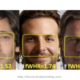 Judging a Man by the Width of His Face: The Role of Facial Ratios and Dominance in Mate Choice at Speed-Dating Events