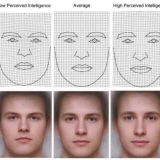 見た目とIQの関連性