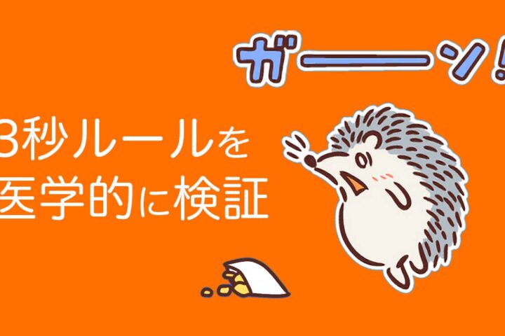 食べ物を落とした時の「３秒ルール」は正しいか？５秒ならOKらしいです⋯。