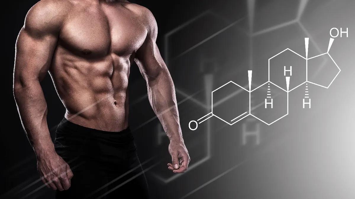 男性ホルモン テストステロン が少ないと早死にのリスクが増える 本当です 院長ブログ 五本木クリニック 男性ホルモン テストステロン が少ないと早死にのリスクが増える 本当です 院長ブログ 五本木クリニック