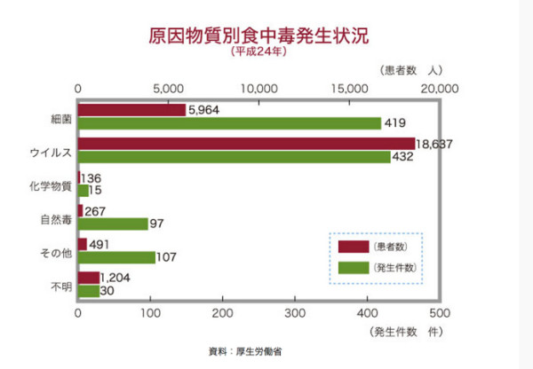 食中毒を防ぐ3つの原則・6つのポイント–食中毒の原因は何？：政府広報オンライン