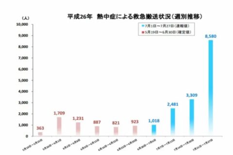 熱中症に注意❗脱水の応急処置で「点滴お願いします」は大間違いです。