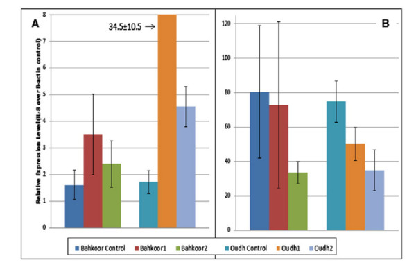 Hazard_assessment_of_United_Arab_Emirates__UAE__incense_smoke___DeepDyve