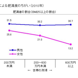 所得水準による肥満度・生活習慣のちがい