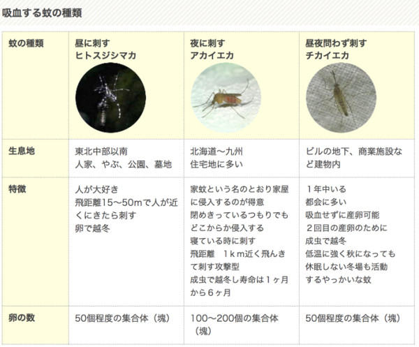 ファーストテック株式会社___蚊の生態