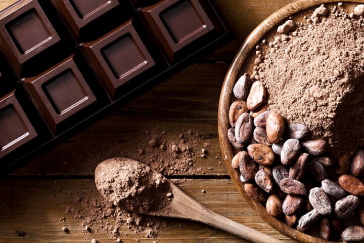 チョコレートで歩行困難が改善する⁉ポリフェノールの効果か？