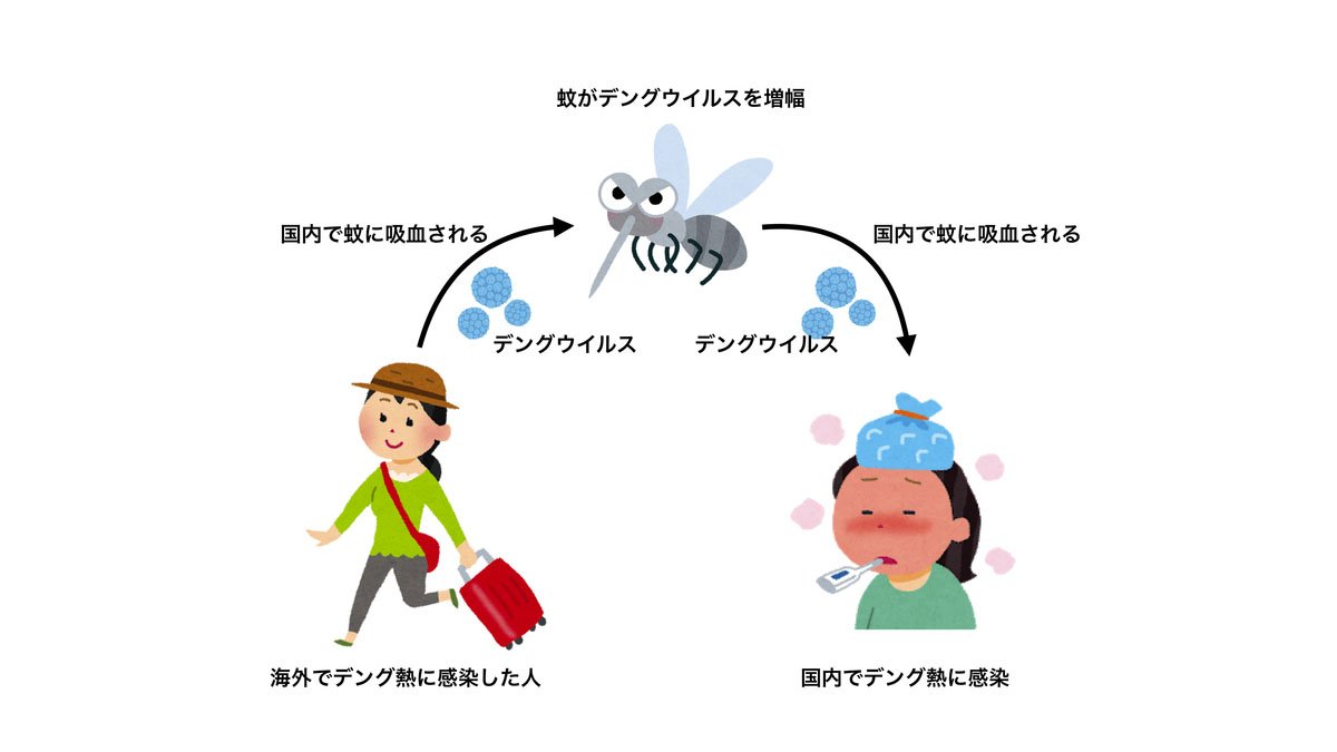 デング熱の国内感染❗2014年、今年の蚊はいつもと違うぞ❗
