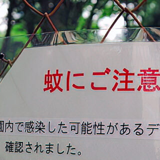 代々木公園の蚊騒動