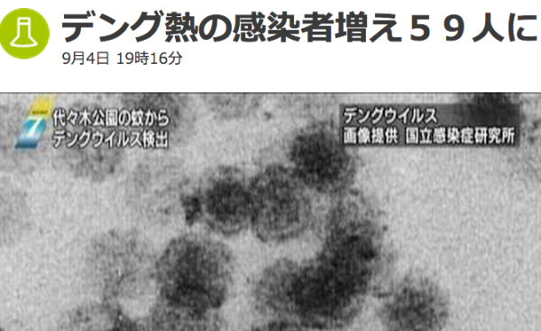 デング熱の感染者増え５９人に　NHKニュース