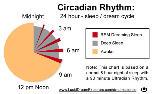 Circadian_rhythm_-_Google_検索