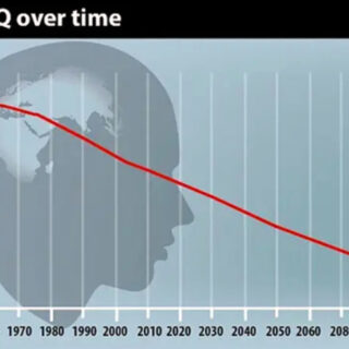 人類の知能は年々低下しているという紛れもない事実