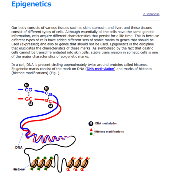Epigenetics____Group_for_Development_of_Molecular_diagnostics_and_Individualized_Therapy_Division_of_Epigenomics____National_Cancer_Center_Research_Institute