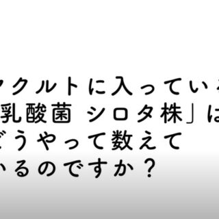 乳酸菌ってどうやって数えてるの？