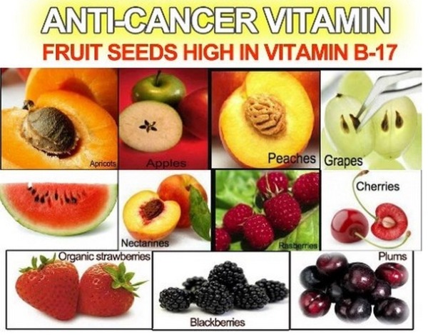 Anti-Cancer_Vitamin_Vitamin_B17_jpg__482×432_