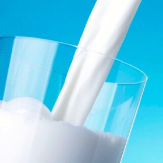牛乳過剰摂取で本当に骨粗鬆症に効果あるのか？
