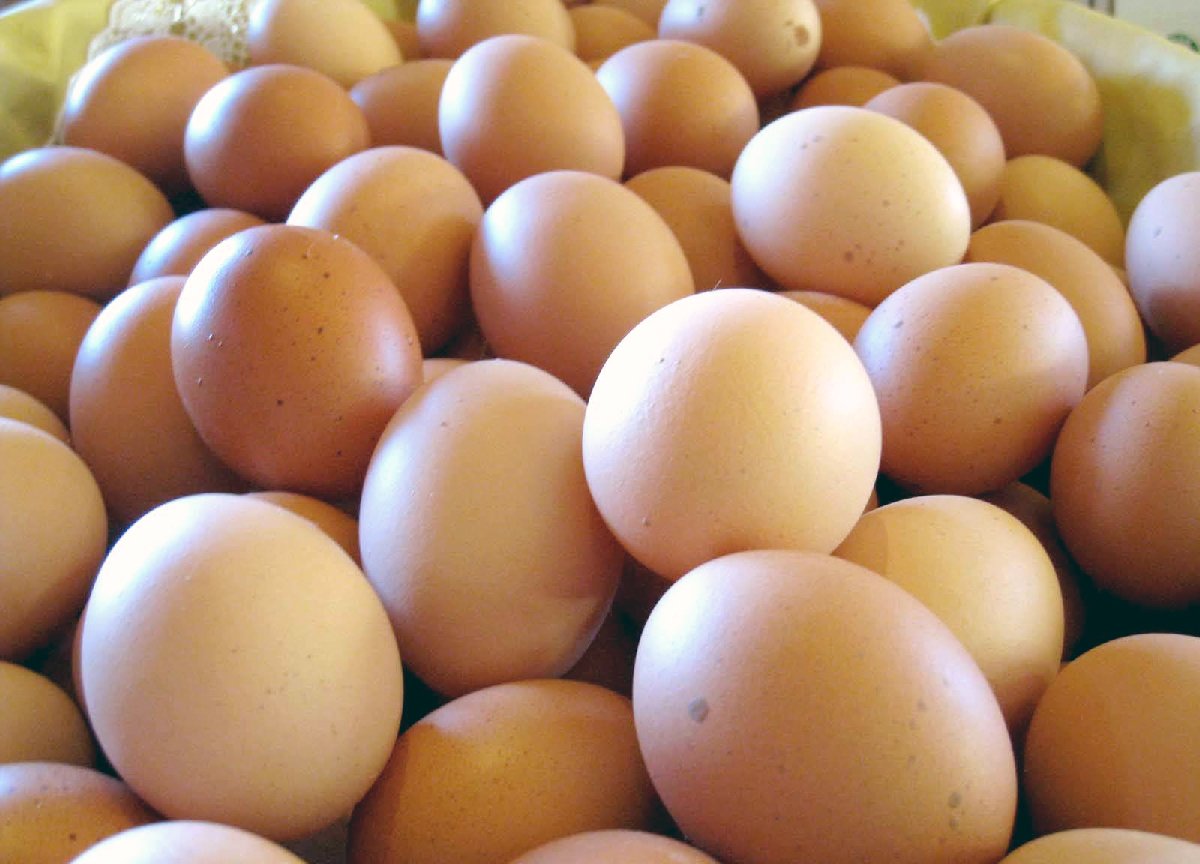 ゆで卵は一日１０個までOKという新聞記事