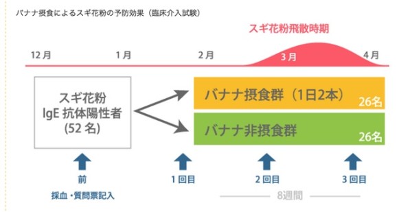 バナナのスギ花粉症予防効果（研究紹介）___バナナ大学 2