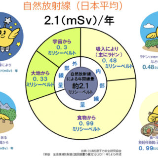 福島県産の食物で本当に被曝するのか？