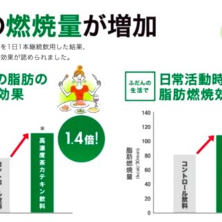 ヘルシアで死亡事故