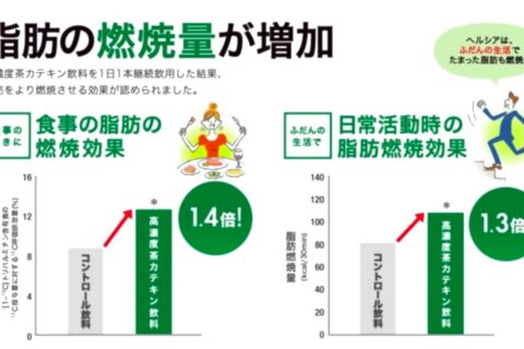 ヘルシアで肝機能障害？？カテキンに深刻な副作用は本当にあるの？