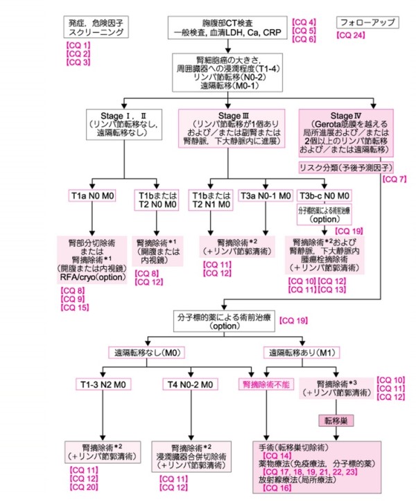 がん診療ガイドライン│腎がん│アルゴリズム