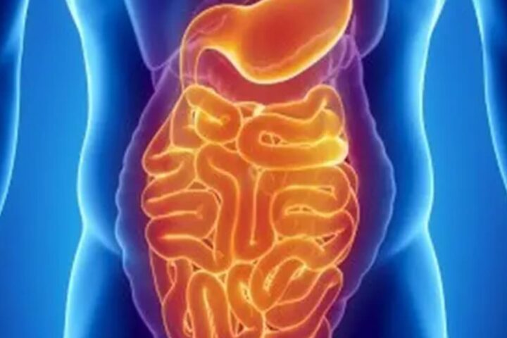 ニセ医学⁉日本人は欧米人と比較して腸が長い、だから肉食は避けるべき、という話は間違いだらけ❗