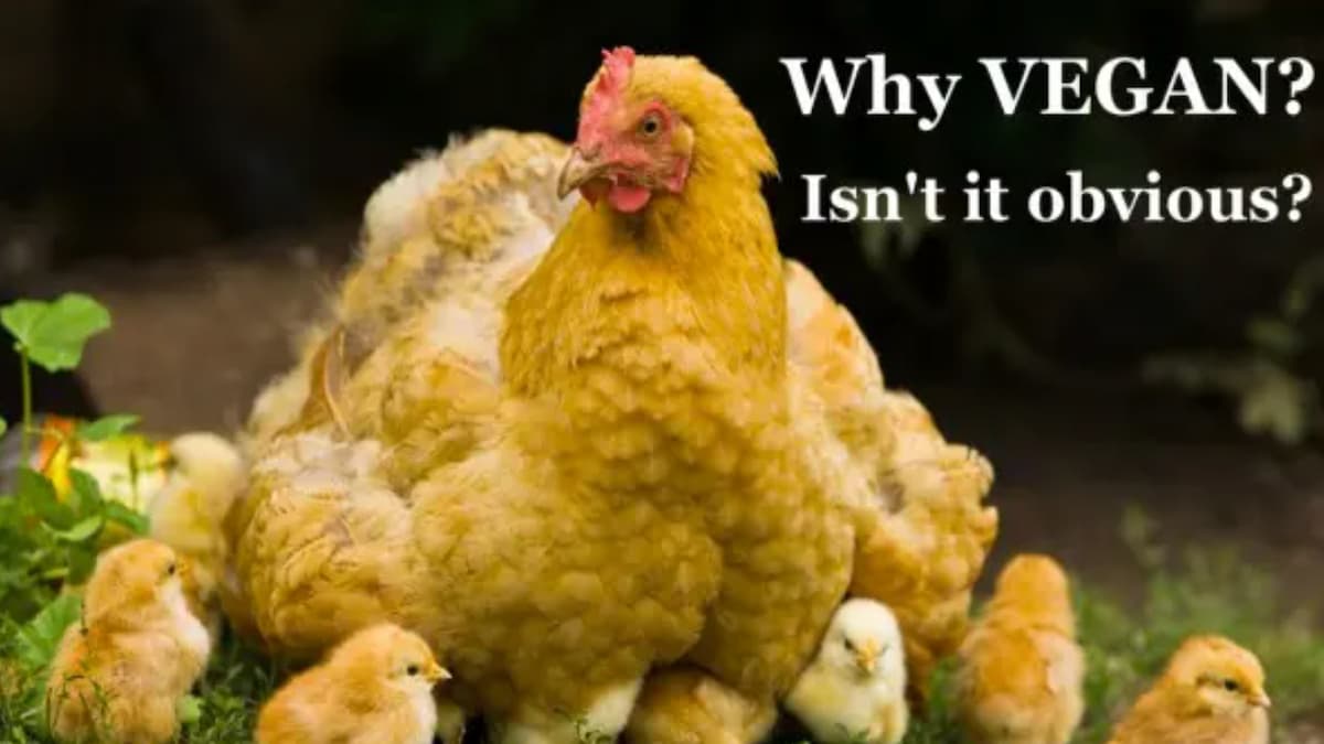 肉の発がん性が話題になっているけど、極端な菜食主義の「ビーガン」の主張はどうも納得いかない。