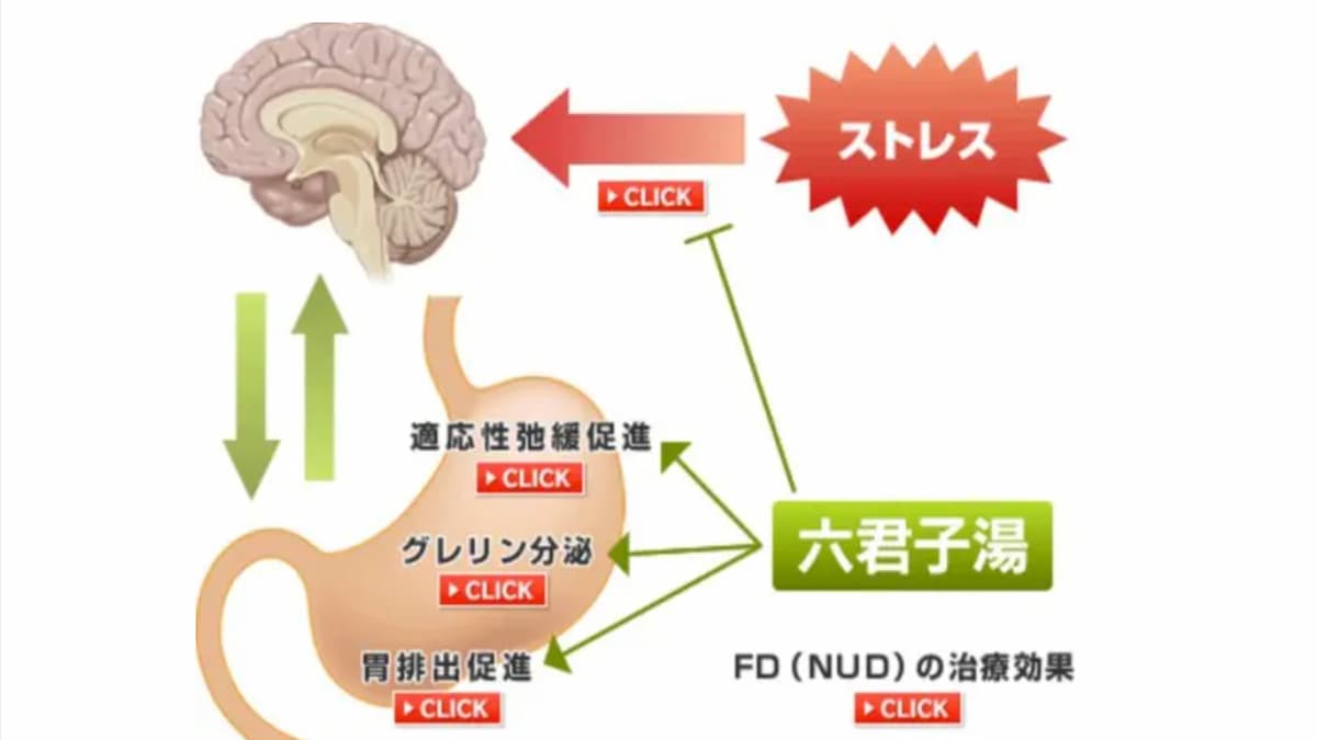 ギャクリアは その主成分である六君子湯の効果よりもマーケティング手法の方が効果的 院長ブログ 五本木クリニック ギャクリアは その主成分である六君子湯の効果よりもマーケティング手法の方が効果的 院長ブログ 五本木クリニック
