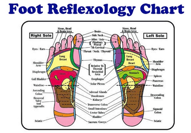 reflexology_-_Google_検索