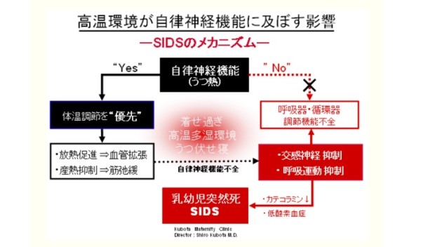 SIDSのメカニズム