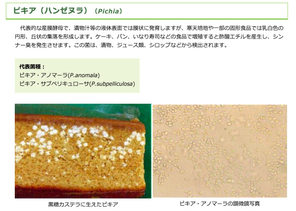 カビとカビ毒　ピキア（ハンゼヌラ）–「食品衛生の窓」東京都福祉保健局