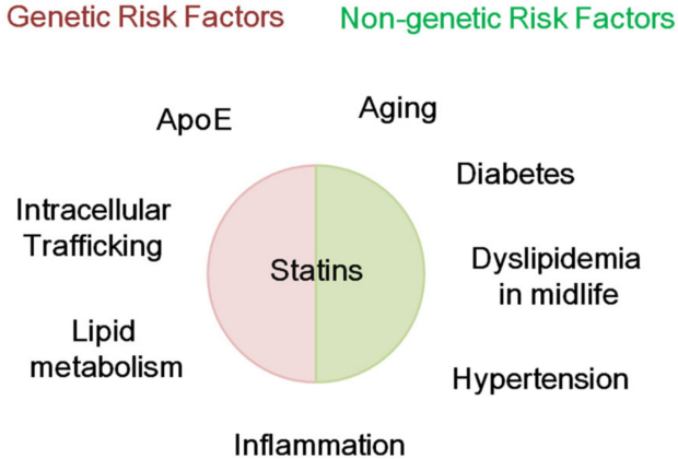 risk_factors_for_Alzheimer_s_disease_-_Google_検索